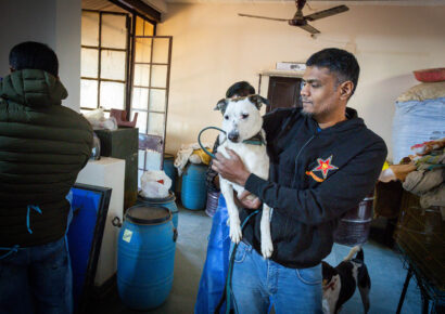 Free Rabies Vaccination Camp Rajokri 11