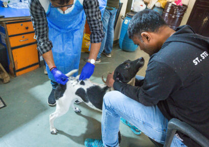 Free Rabies Vaccination Camp Rajokri 13