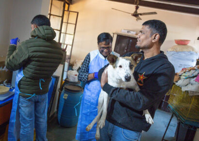Free Rabies Vaccination Camp Rajokri 14