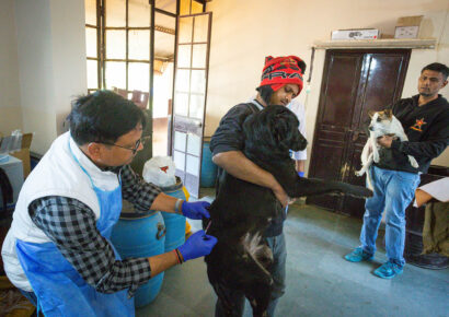 Free Rabies Vaccination Camp Rajokri 15
