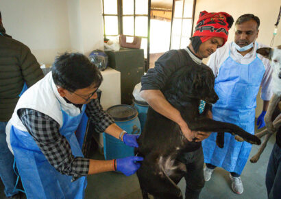 Free Rabies Vaccination Camp Rajokri 16