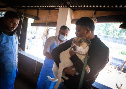 Free Rabies Vaccination Camp Rajokri 17
