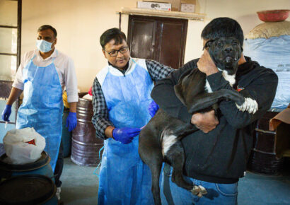 Free Rabies Vaccination Camp Rajokri 18