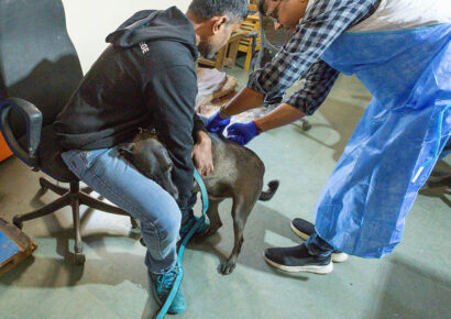 Free Rabies Vaccination Camp Rajokri 19