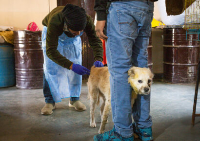 Free Rabies Vaccination Camp Rajokri 20