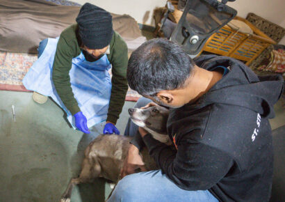 Free Rabies Vaccination Camp Rajokri 24