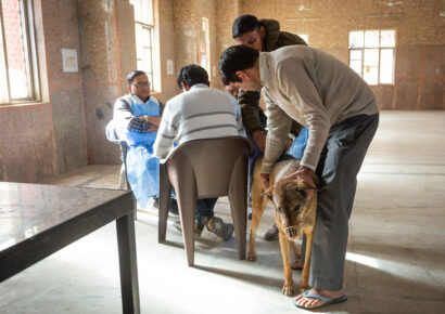 Free Rabies Vaccination Camp Rajokri 25
