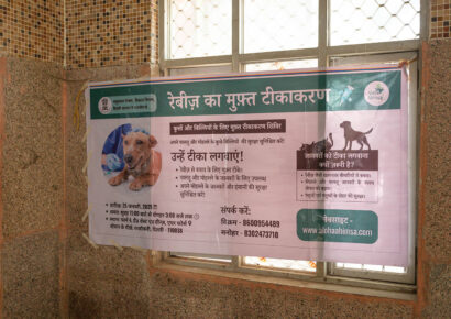 Free Rabies Vaccination Camp Rajokri 26