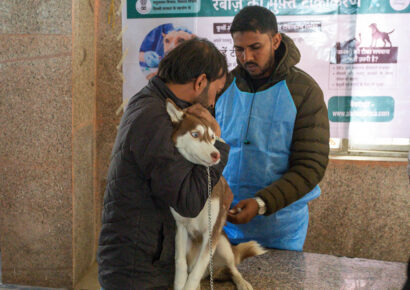 Free Rabies Vaccination Camp Rajokri 28