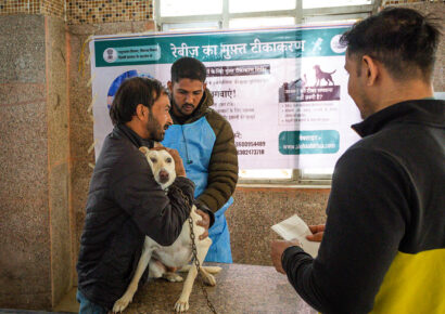 Free Rabies Vaccination Camp Rajokri 29