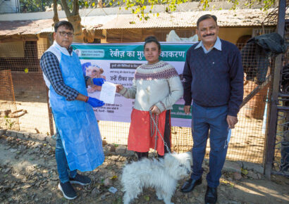 Free Rabies Vaccination Camp Rajokri 6